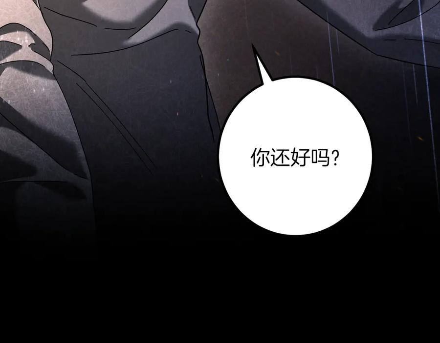 第215页