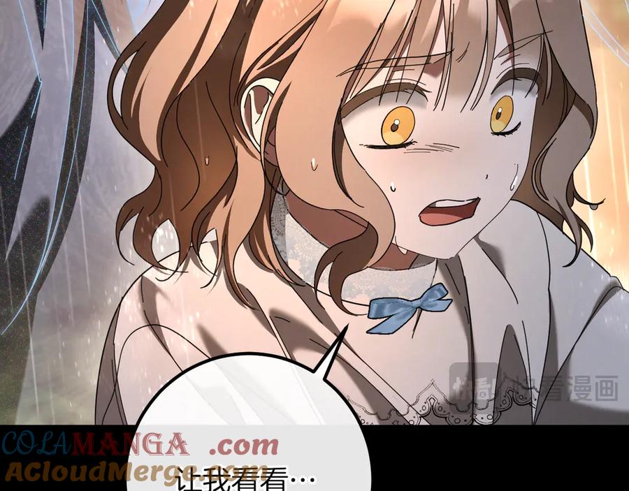 第221页
