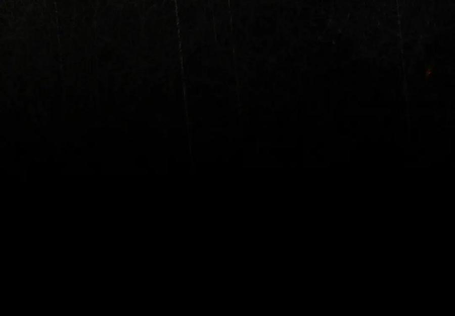 第248页