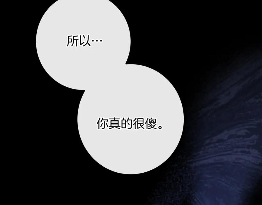 第256页