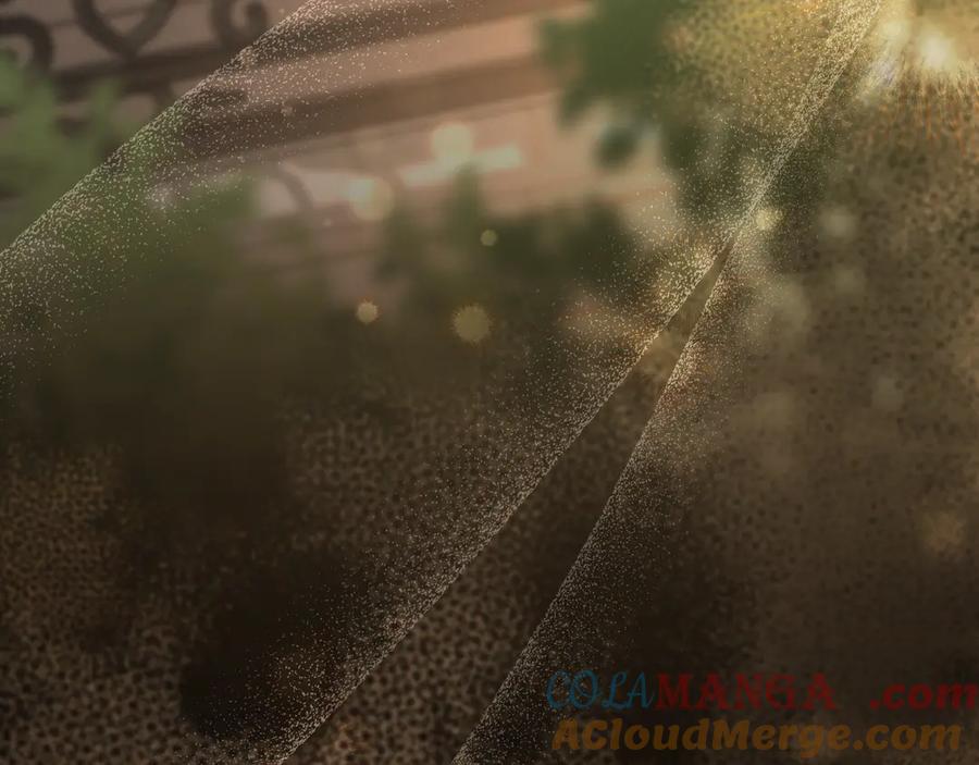 第221页