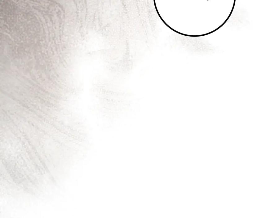 第256页