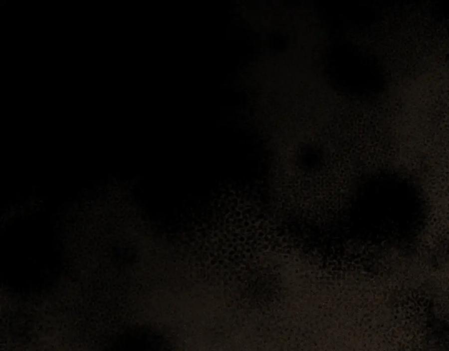第211页