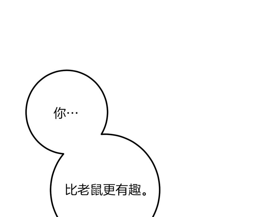 第240页