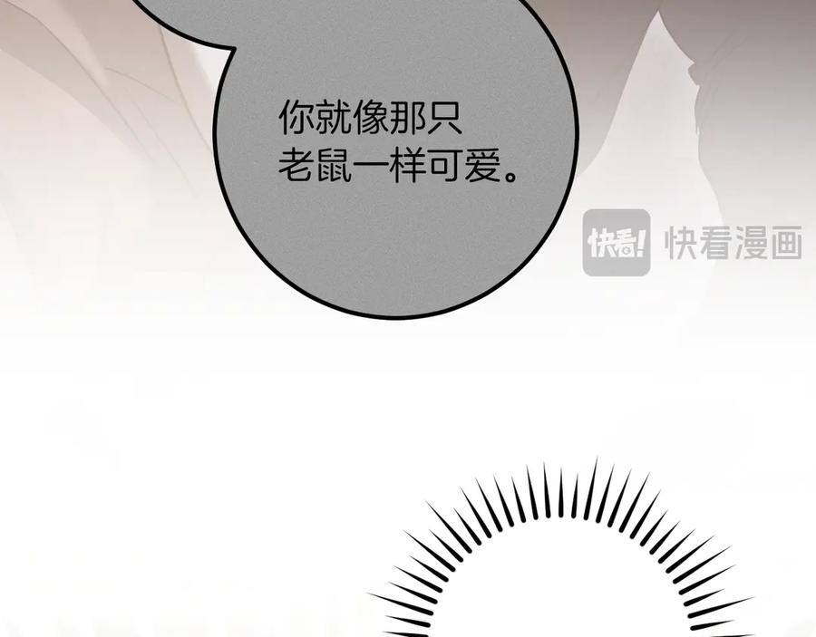 第246页