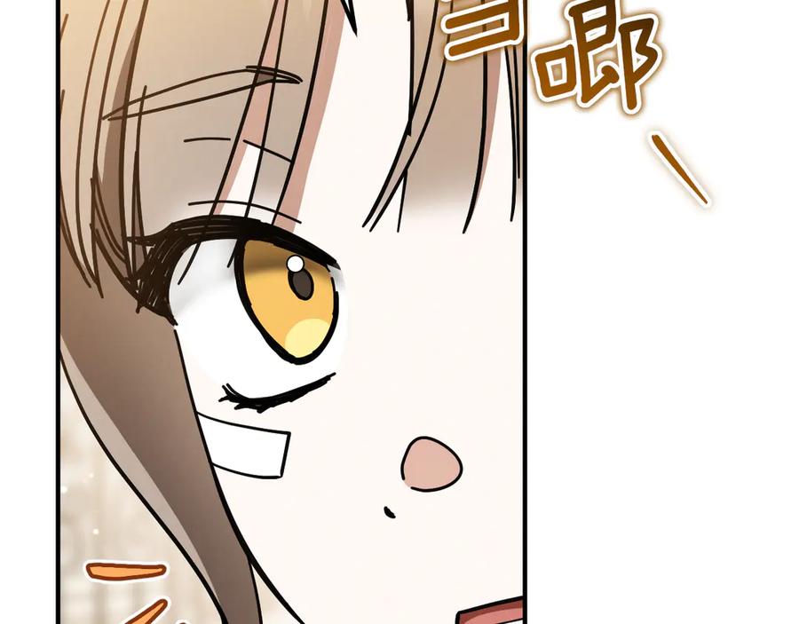 第266页