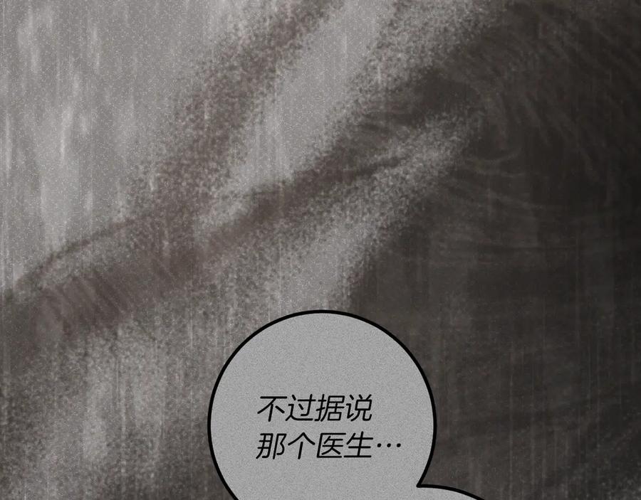 第278页