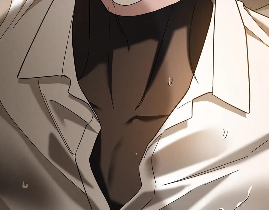 第239页