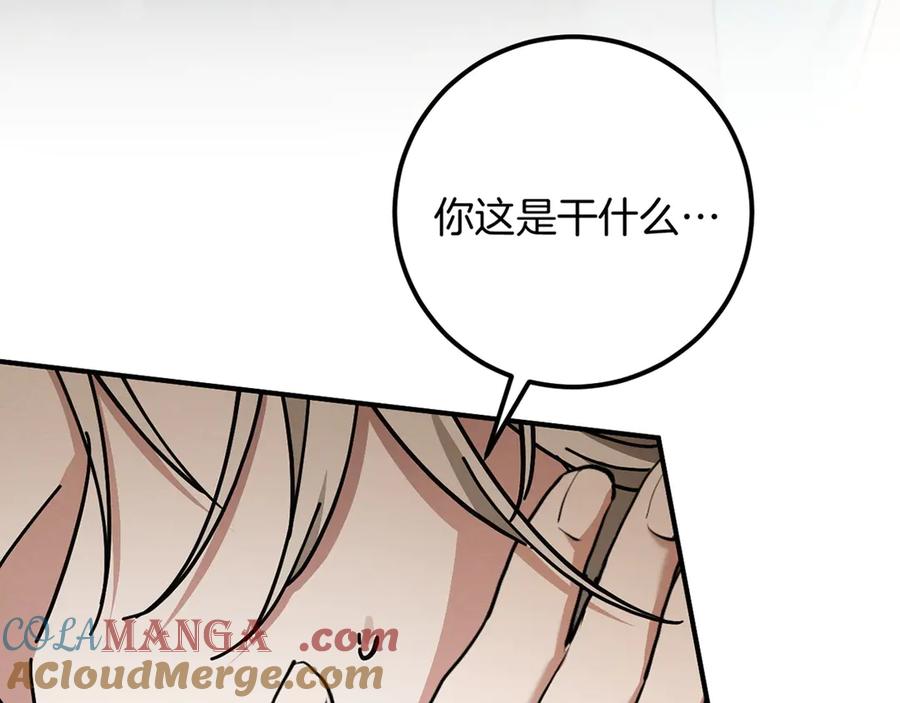 第241页