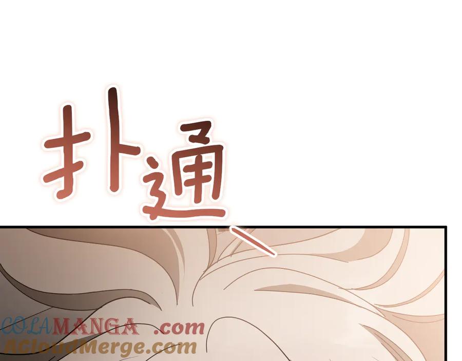 第217页