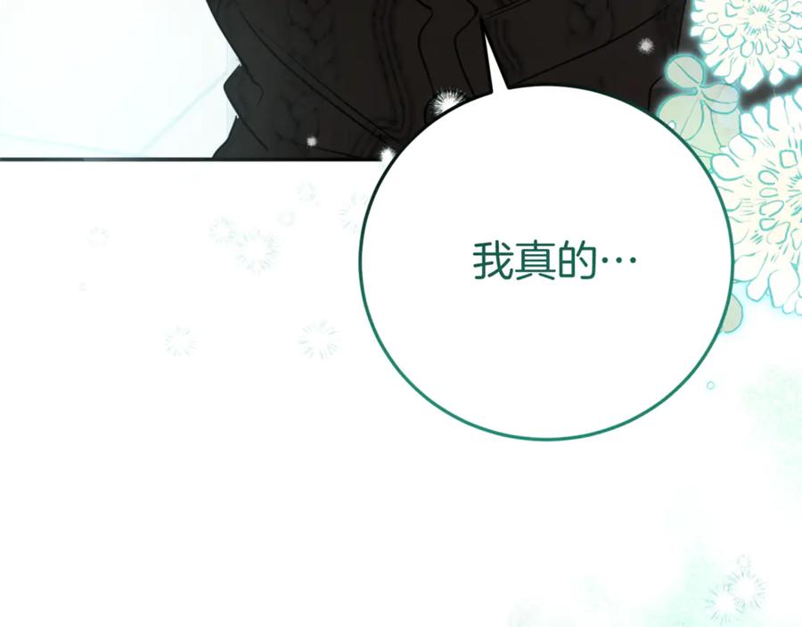 第223页