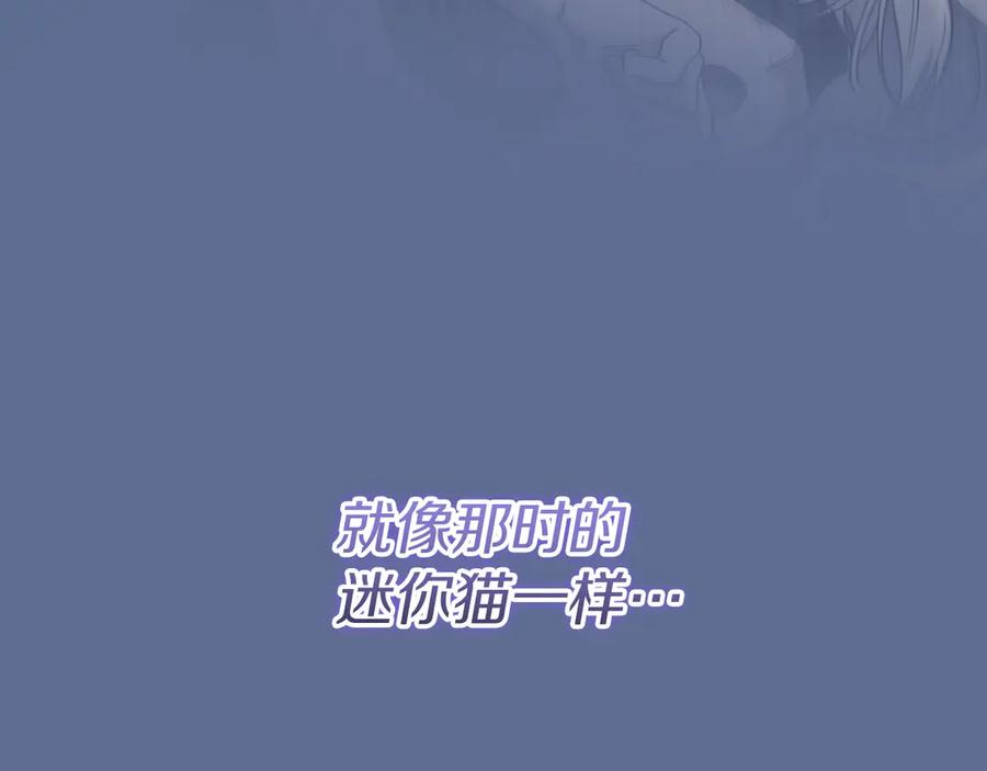 第226页