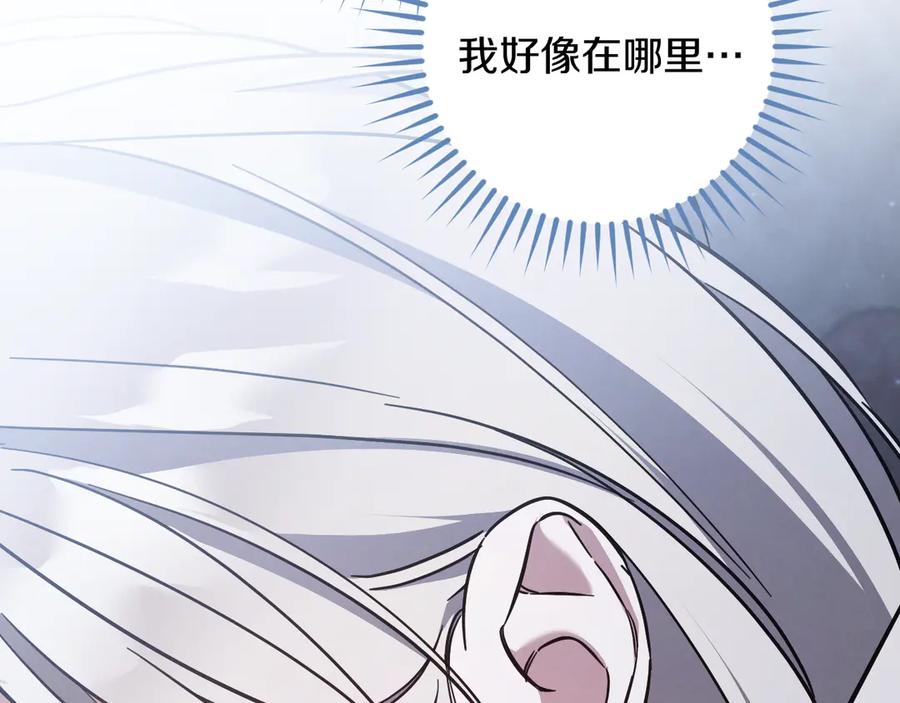 第246页