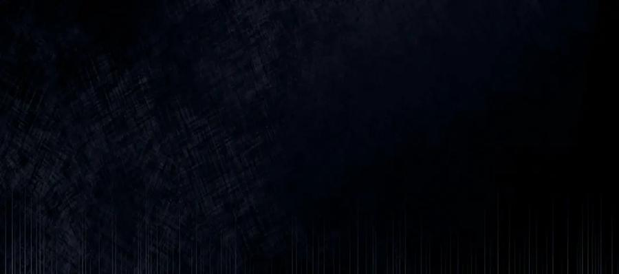 第219页