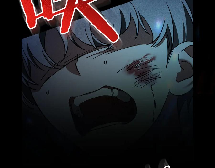 第223页