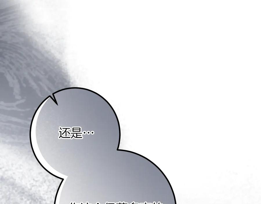 第223页