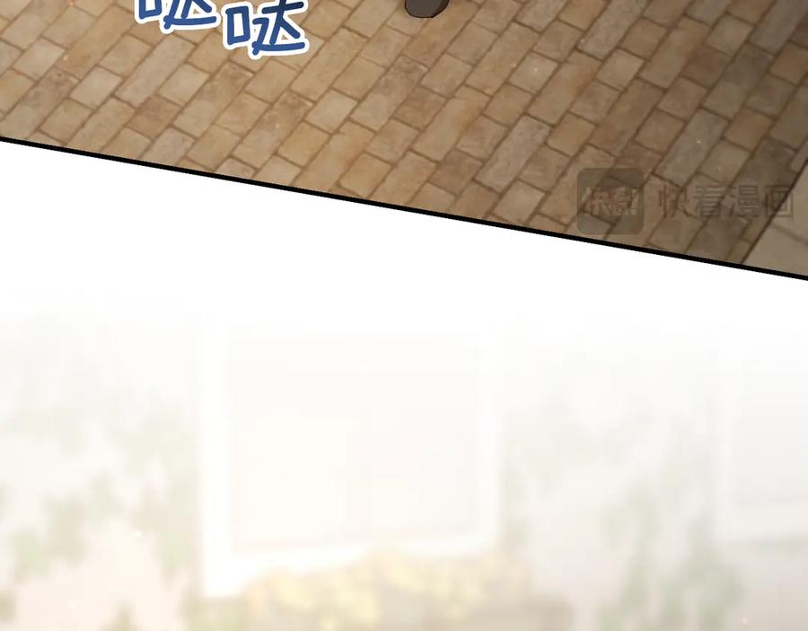 第211页