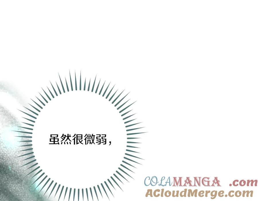 第253页