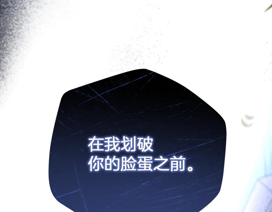 第223页