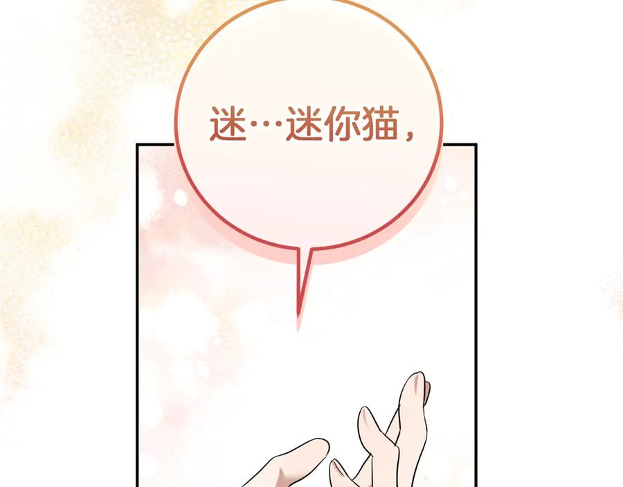 第232页