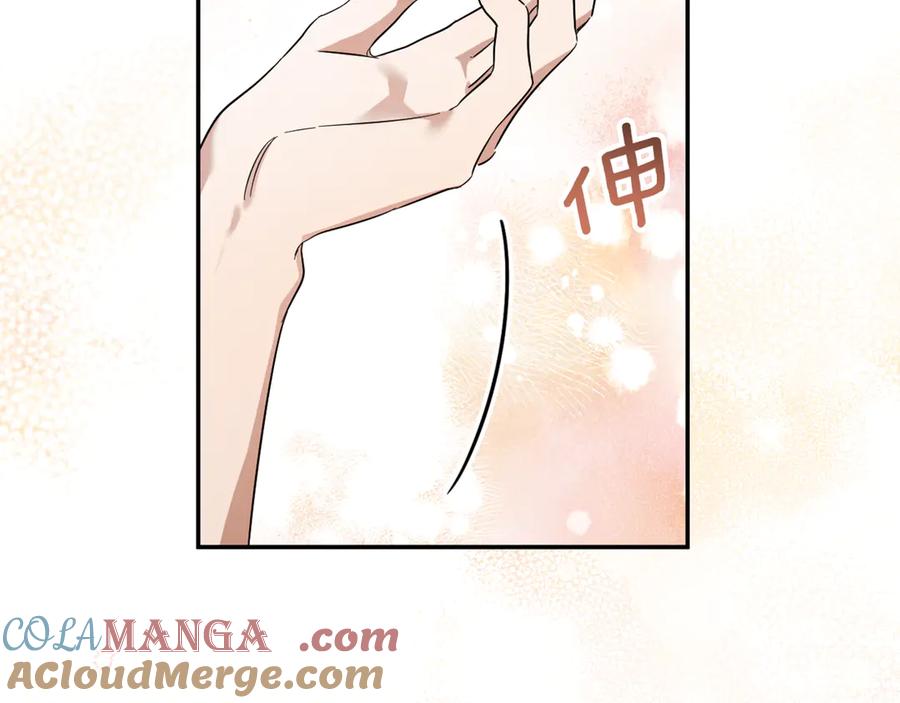 第233页