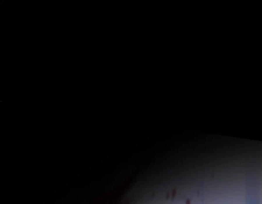 第231页