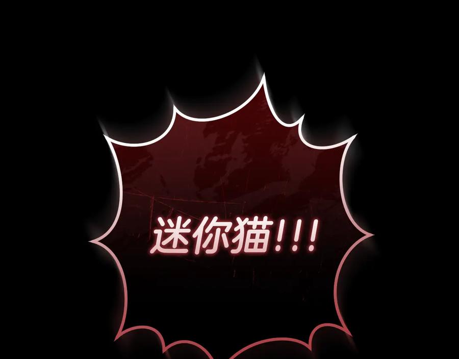 第235页