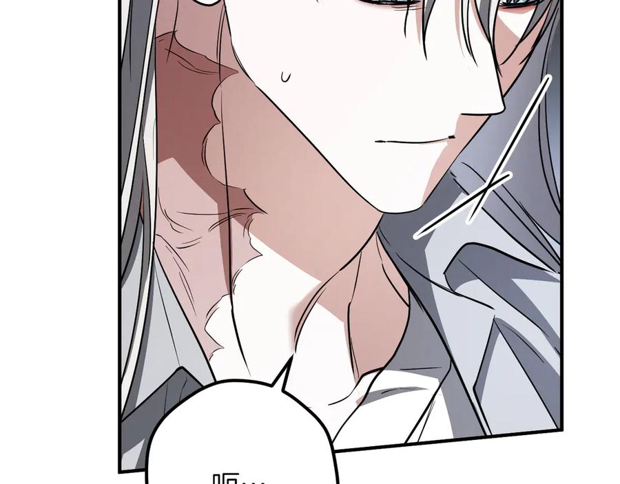 第242页