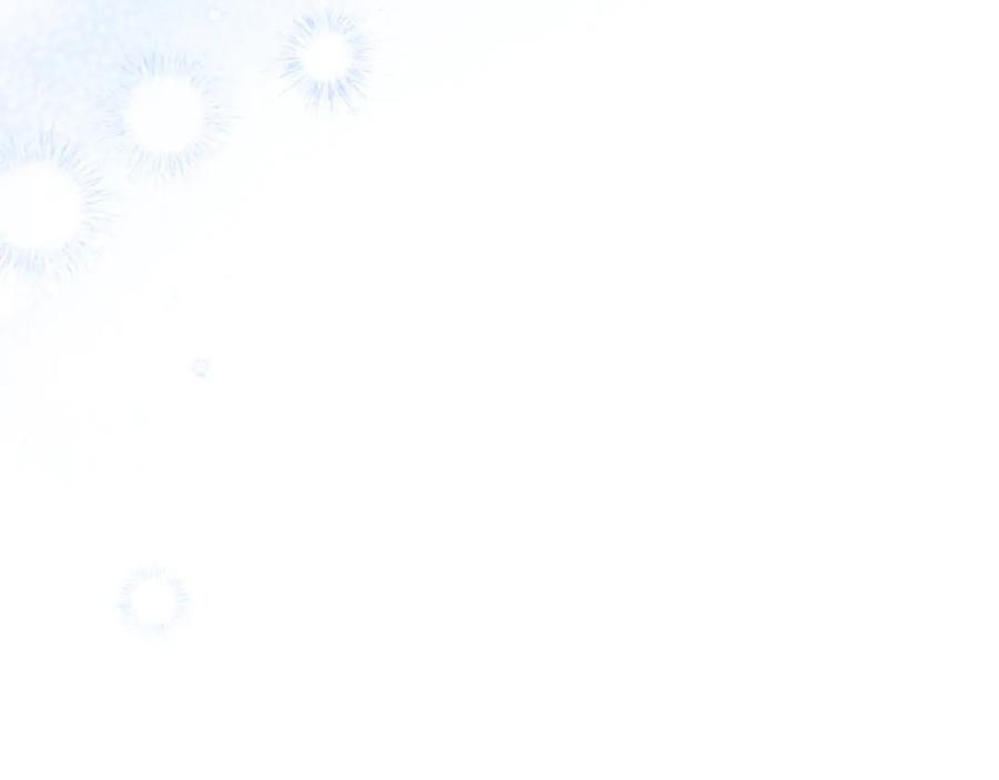 第250页