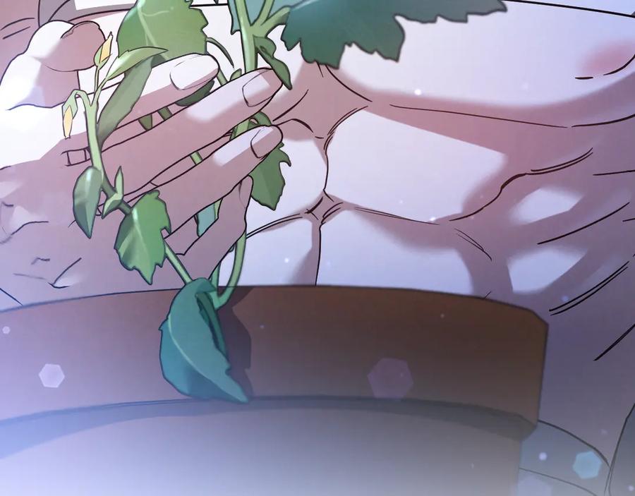 第223页