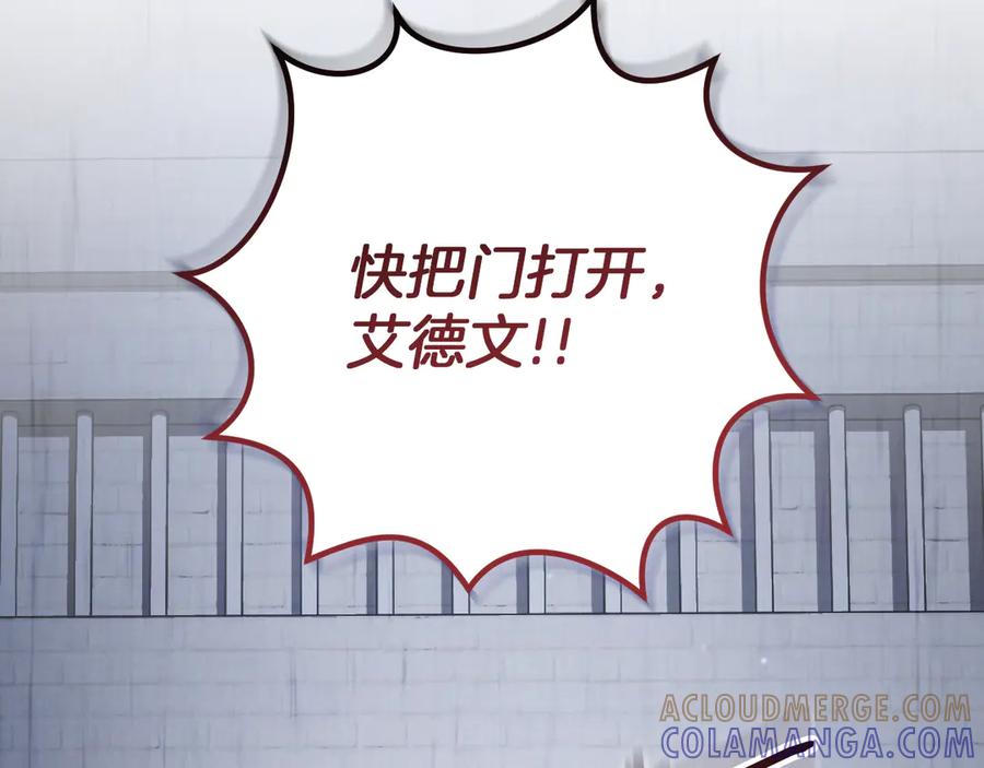 第233页