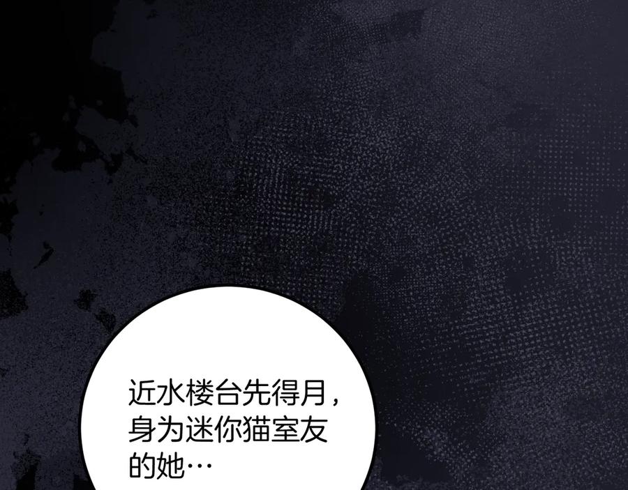 第215页