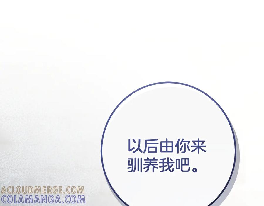 第229页