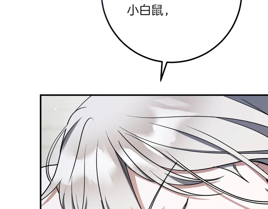 第235页