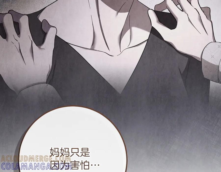 第221页
