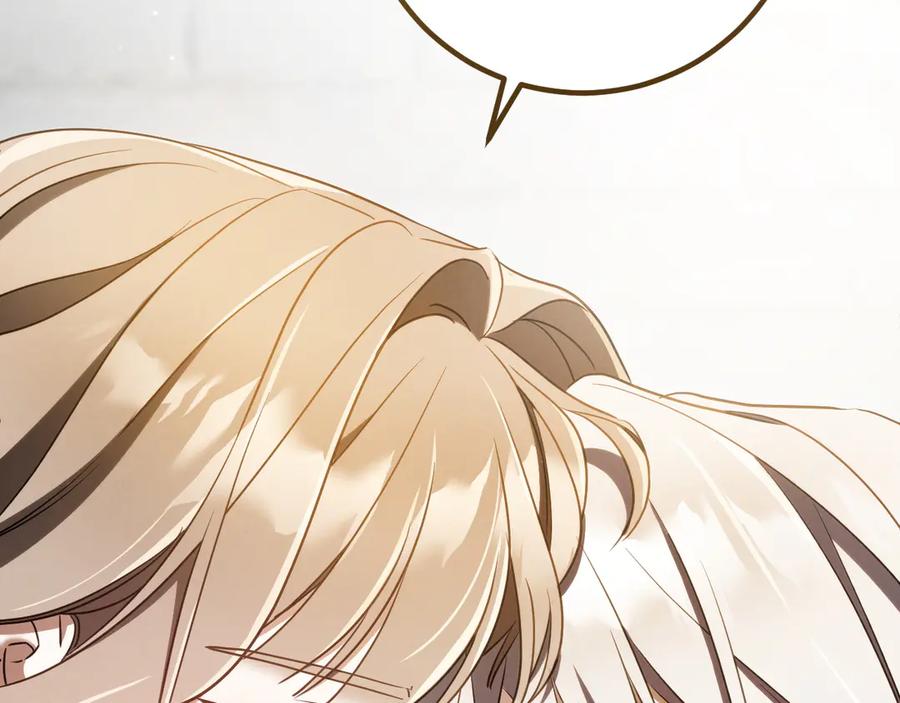 第242页