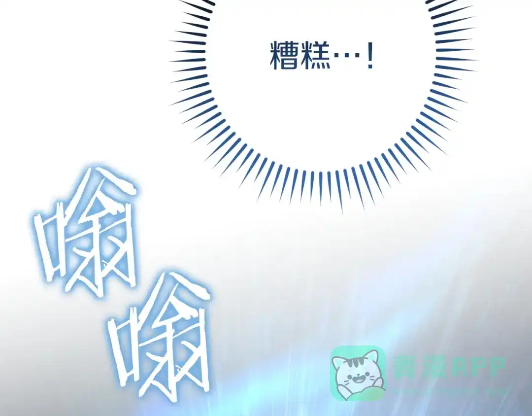 第216页