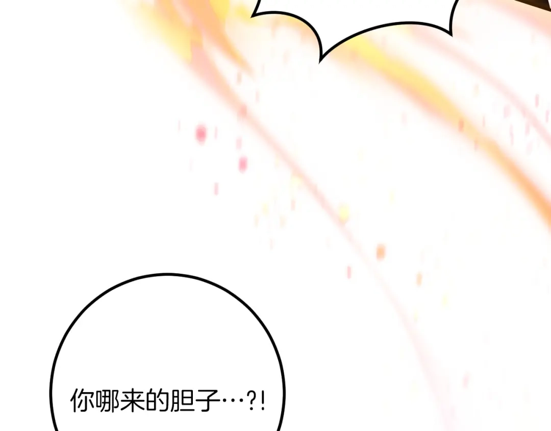 第224页