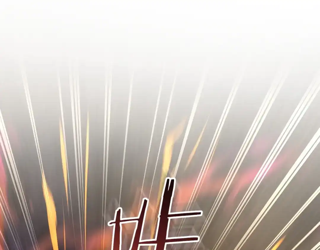 第229页