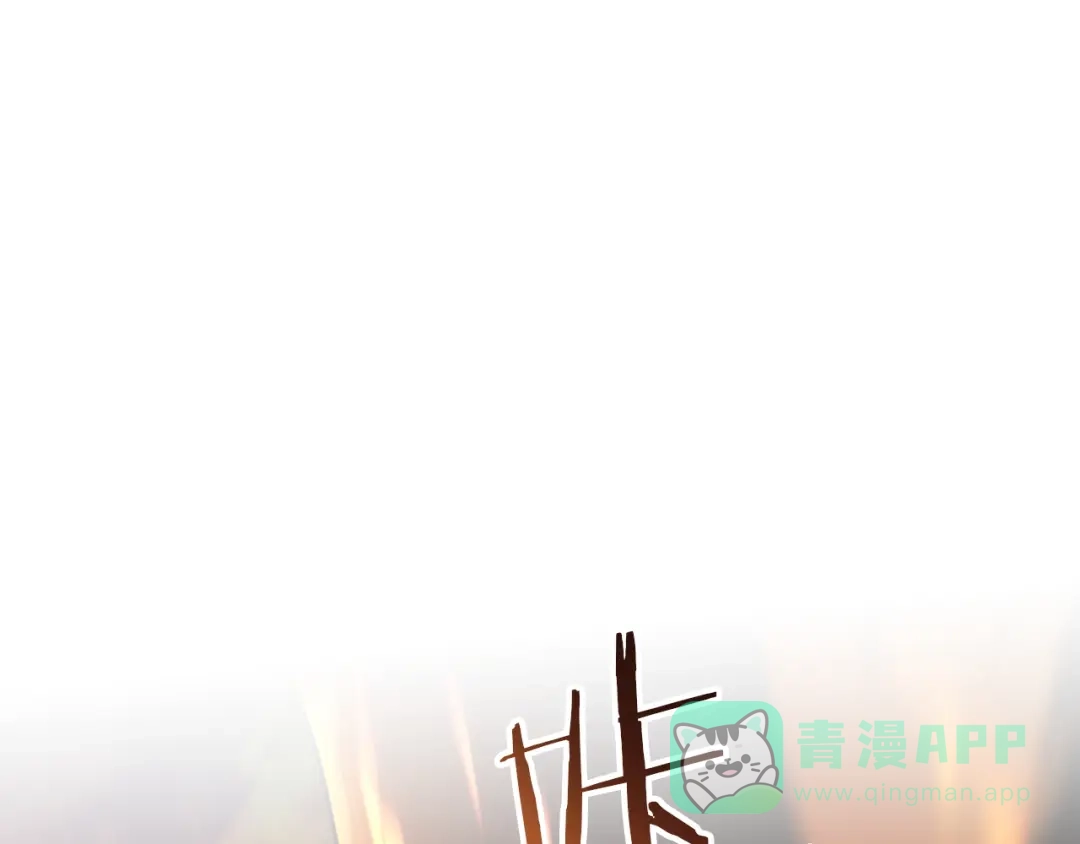 第236页