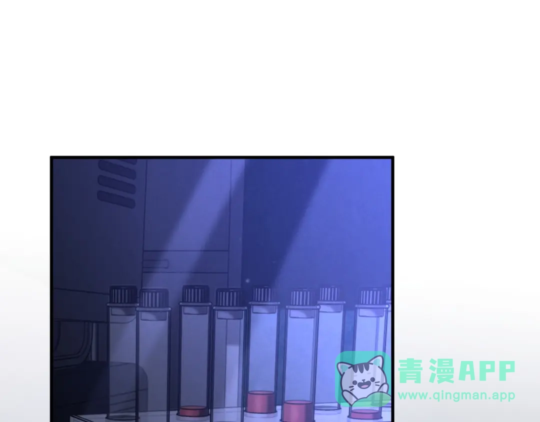 第246页