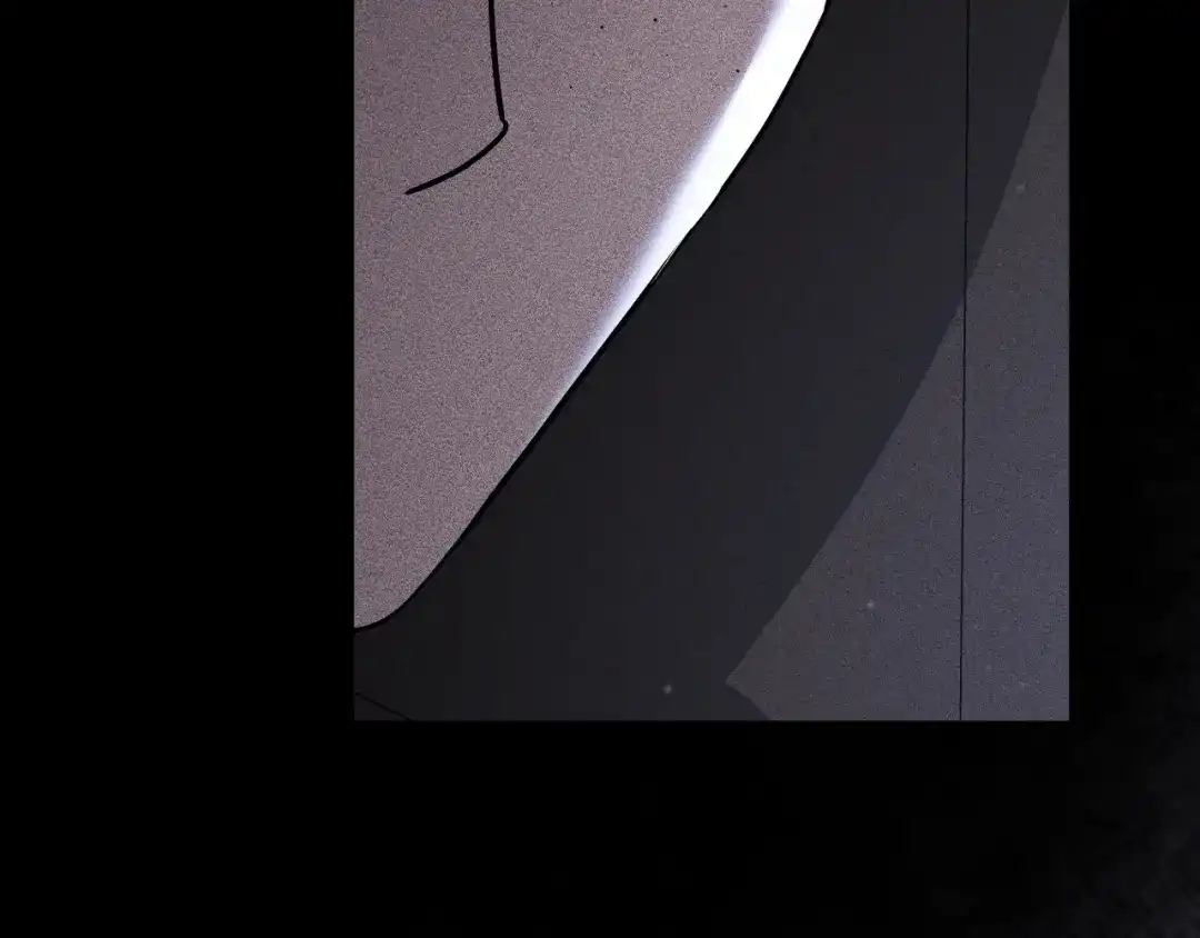第223页