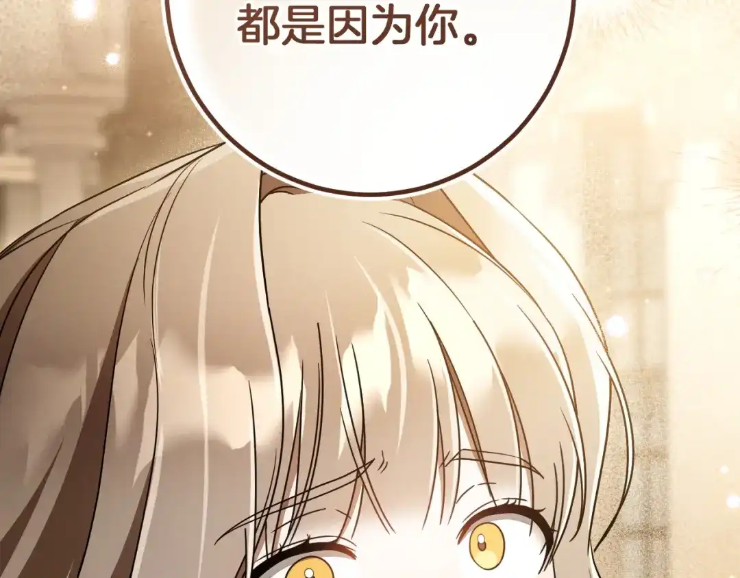 第223页