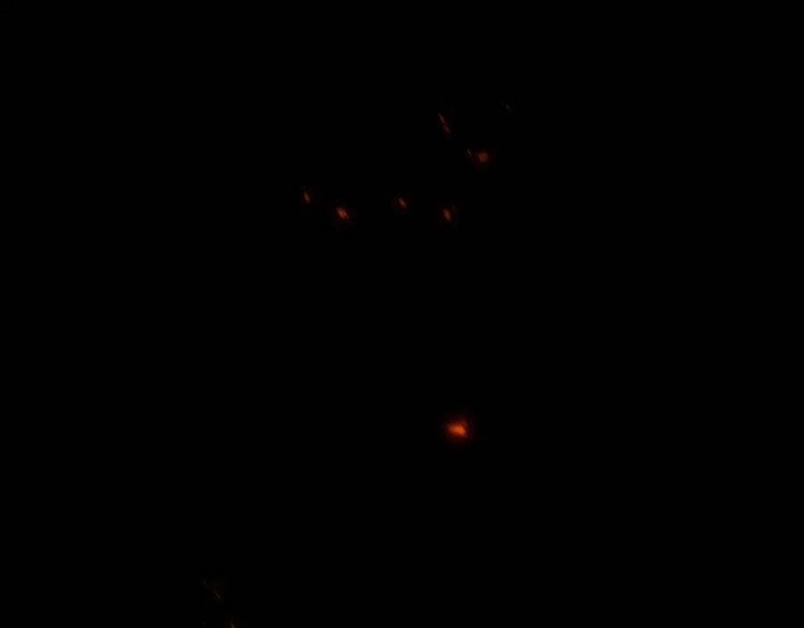 第192页
