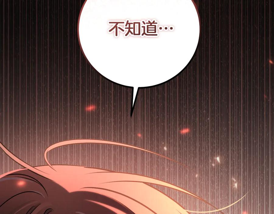 第224页