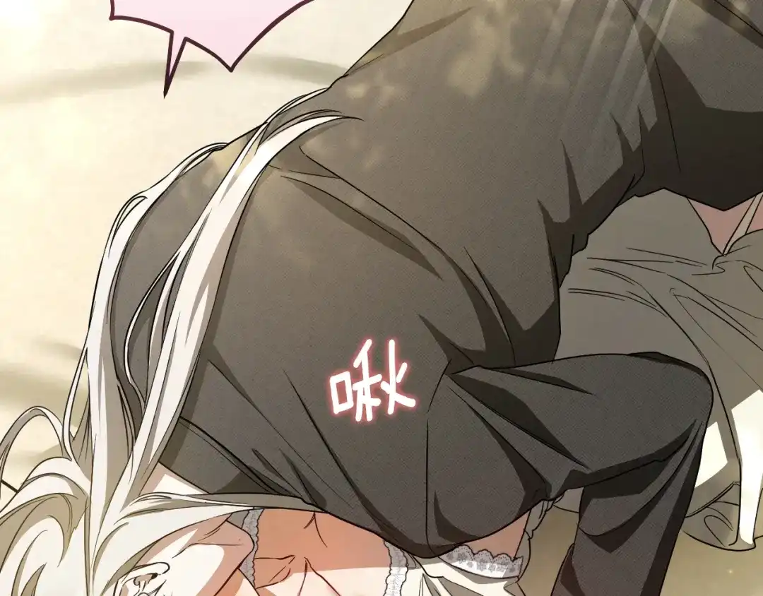 第221页