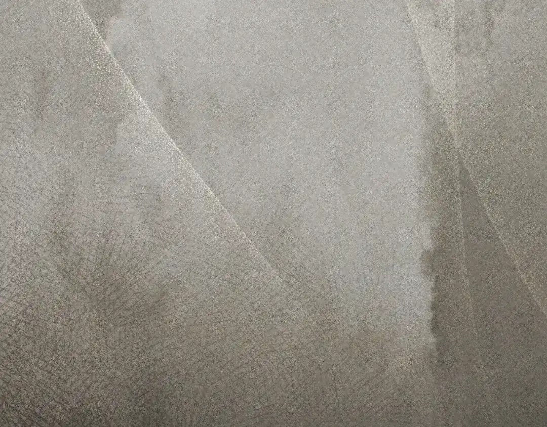 第204页