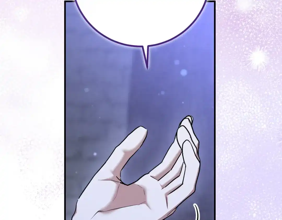第243页