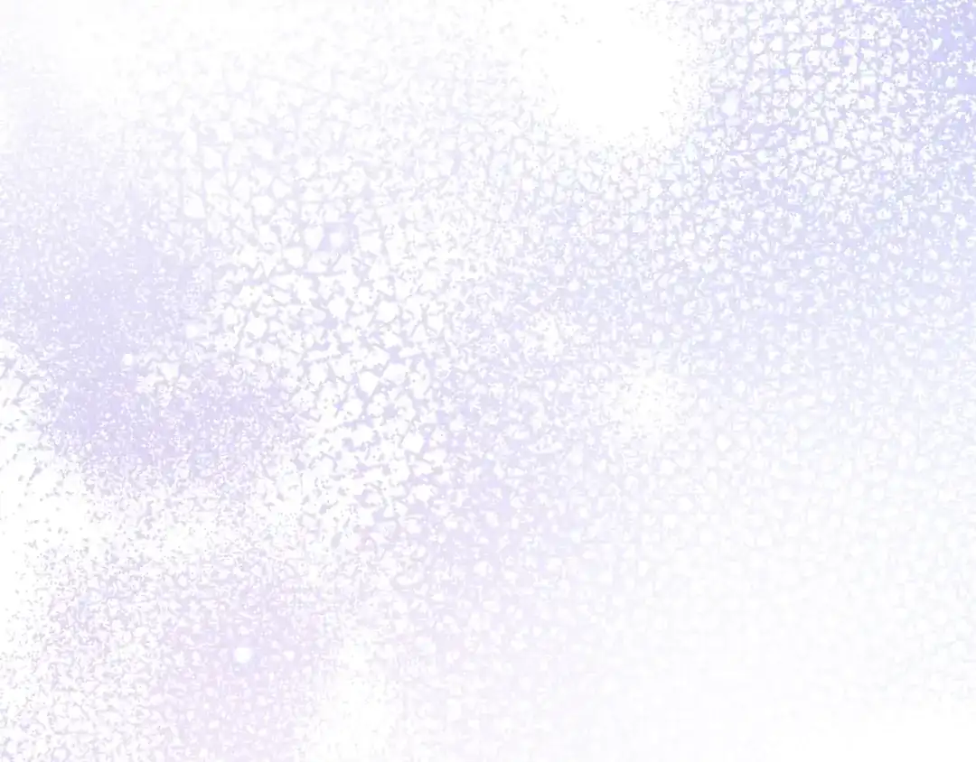 第251页