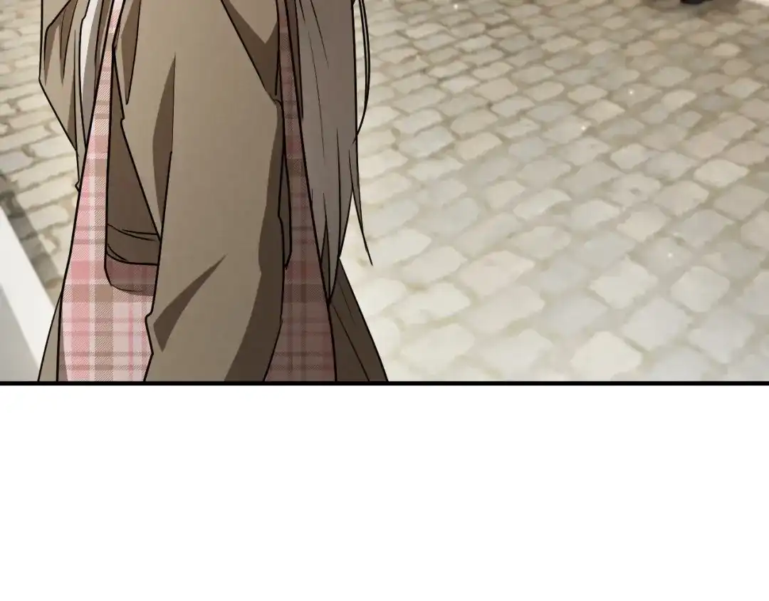 第223页